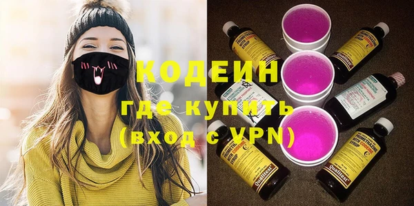 круглые Гусев