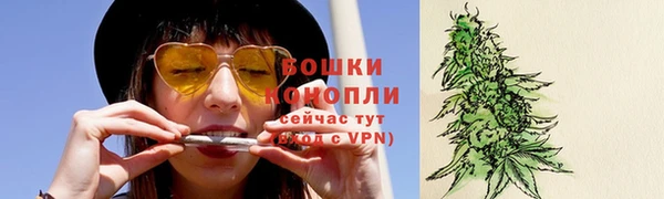 круглые Гусев