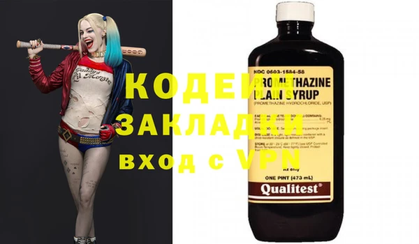 круглые Гусев