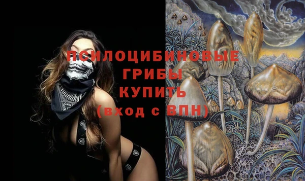 круглые Гусев