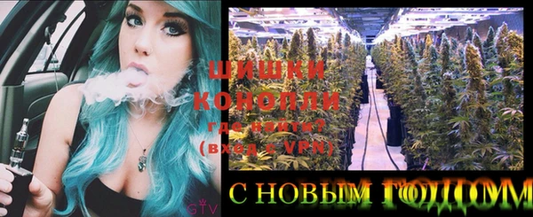первитин Гусиноозёрск