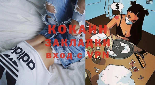 круглые Гусев