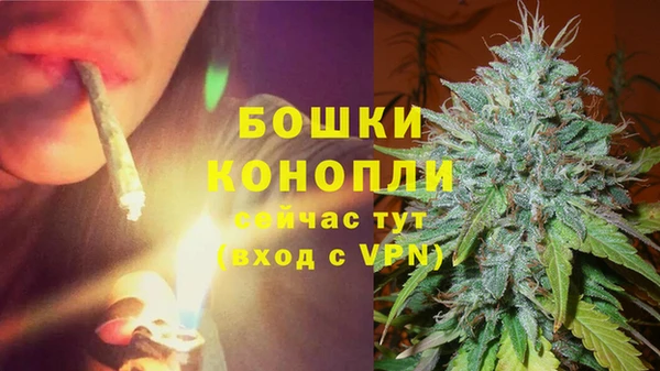 круглые Гусев