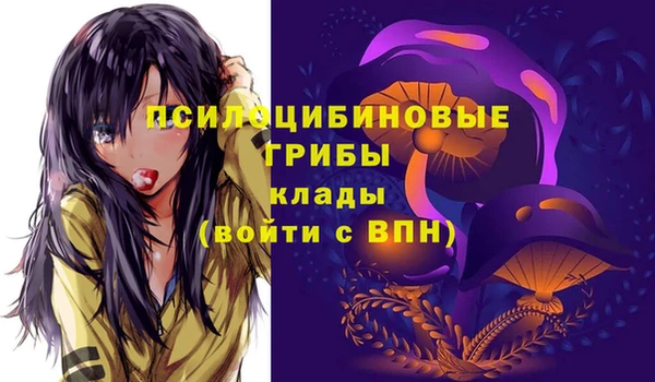 первитин Гусиноозёрск