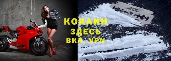 круглые Гусев
