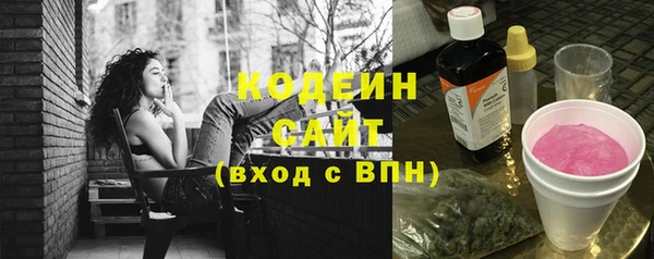 круглые Гусев