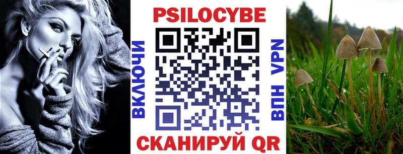 Галлюциногенные грибы прущие грибы  Королёв 